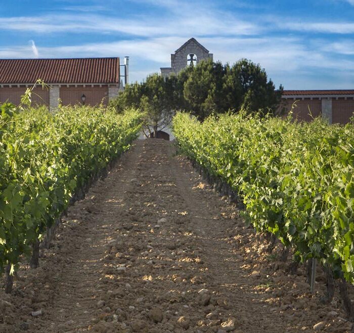 Bodegas Carramimbre. Ribera del Duero