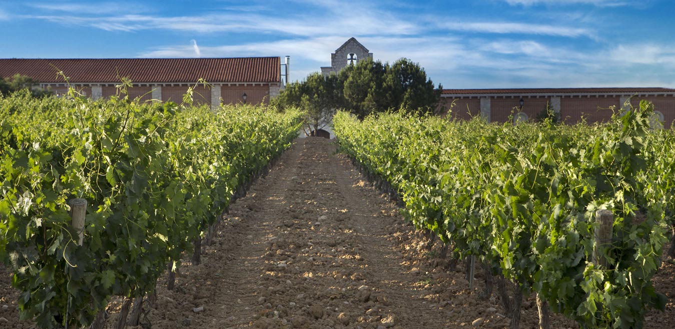 Bodegas Carramimbre. Ribera del Duero